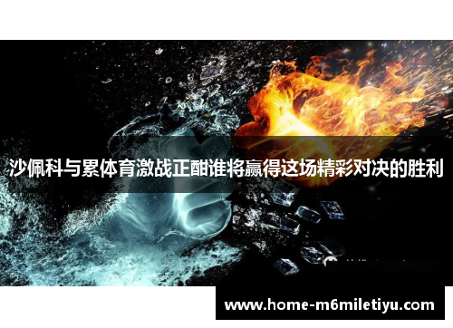 沙佩科与累体育激战正酣谁将赢得这场精彩对决的胜利